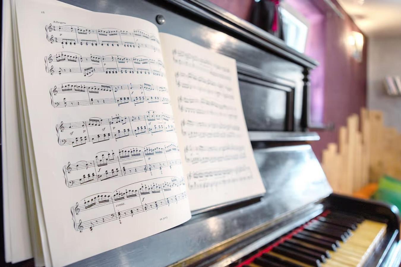 קונייה Maison De La Musique מראה חיצוני תמונה